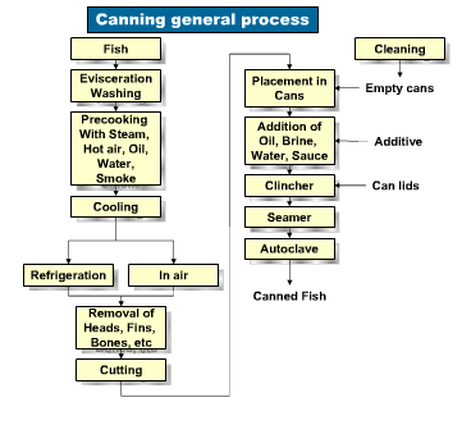 canning process food fish flowchart preservation example method
